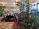 Наш Новый год.