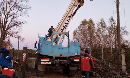 Комбинат благоустройства убрал по ул. Нагорной 7 старых деревьев.